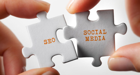 seo-social-media-roi-chon-ca-hai