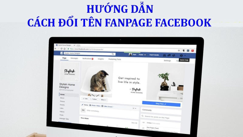 Tại Sao Không Đổi Tên Fanpage Được? 10+ Lý Do & Cách Khắc Phục